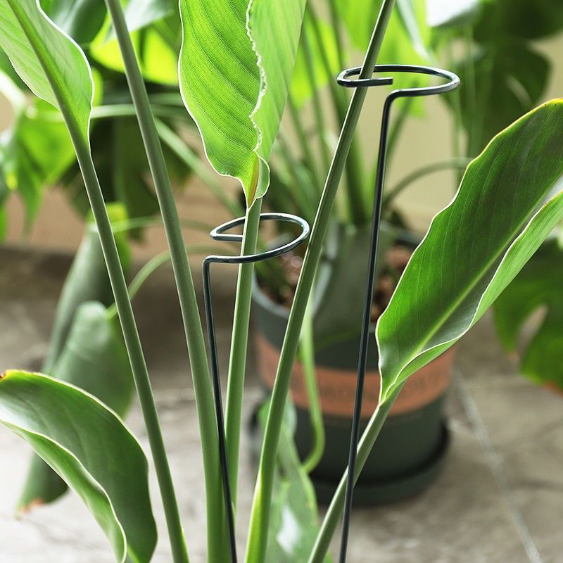 1/10pcs Garden Support Stake R - Gardening Tools Range recension och pris