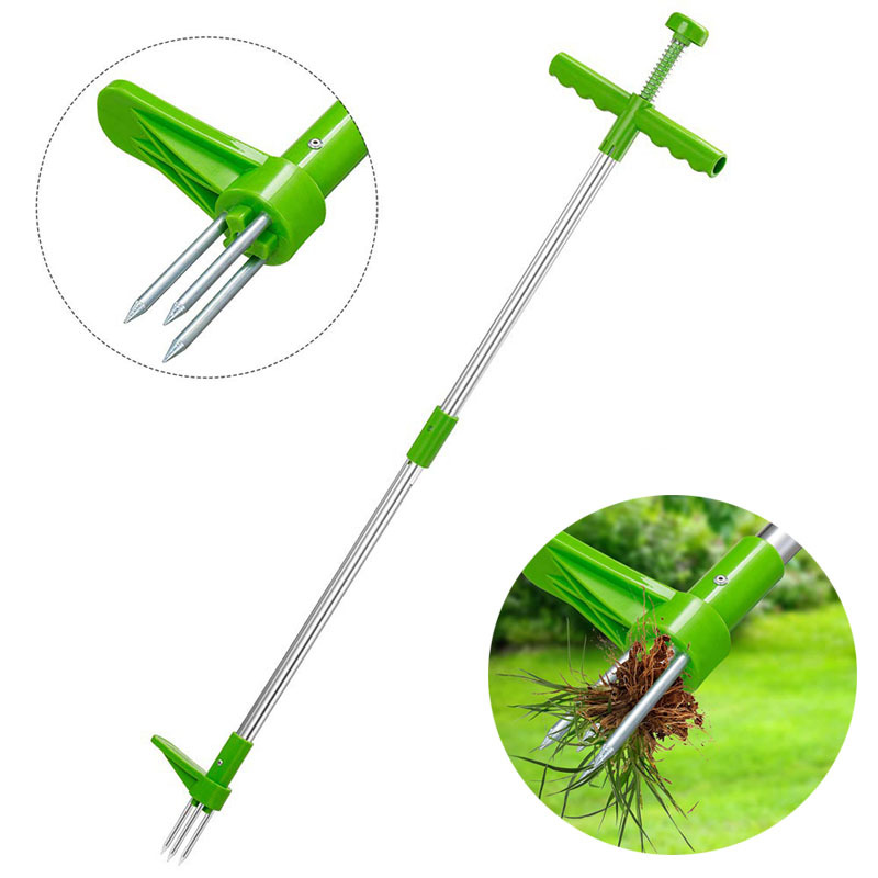 Portable Long Handle Weed Remo - Grass Seed Spreader recension och pris