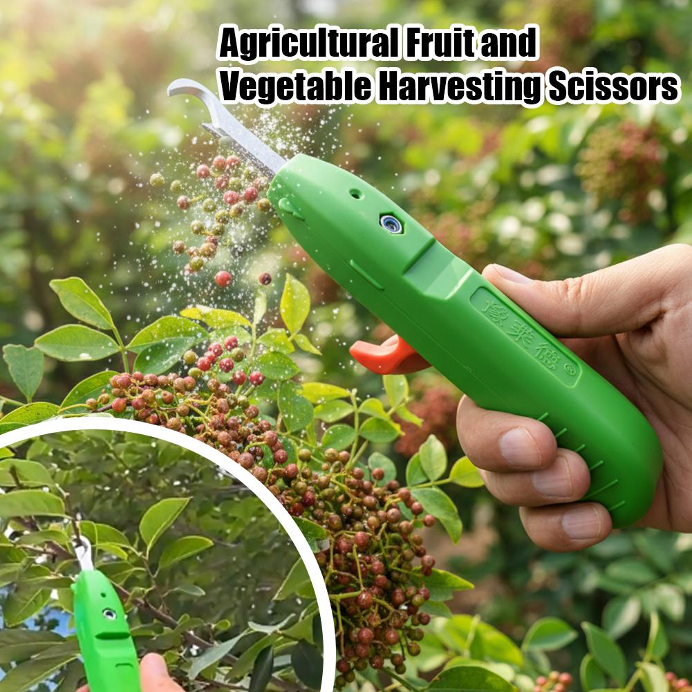 Fruit And Vegetable Picking Sh - Gardening Tools Combo recension och pris
