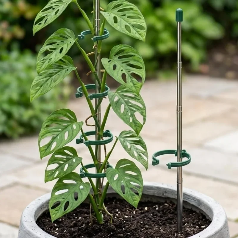 5/1PCS Retractable Plant Suppo - Gardening Tools Range recension och pris