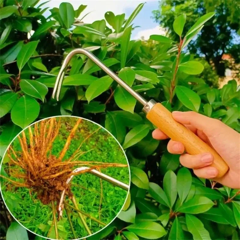 Stainless Steel Gardening Weed - Grass Seed Spreader recension och pris