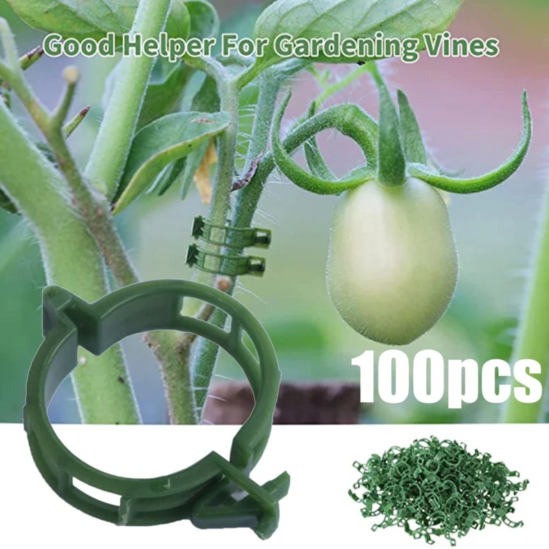 100 PCS/ Plant Support Clip Pl - Gardening Tools Range recension och pris