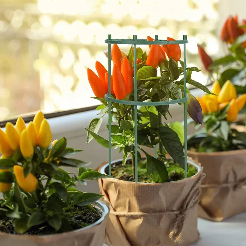 Plastic Plant Support Pile Sta - Gardening Tools Range recension och pris