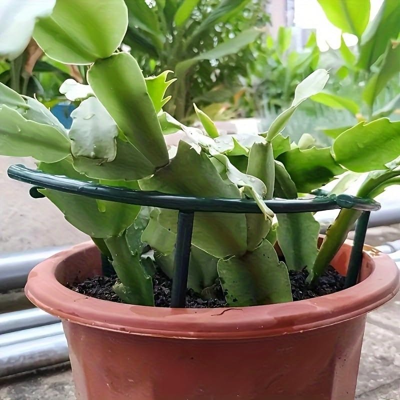 30-1PCS Plastic Plant Support  - Gardening Tools Range recension och pris